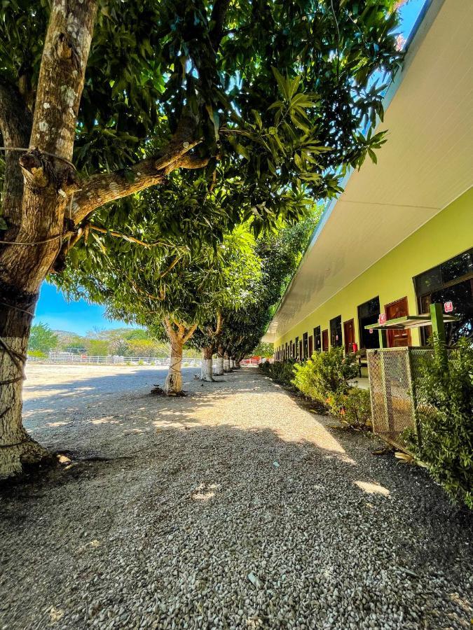 Hotel El Regalo نيكوجا المظهر الخارجي الصورة